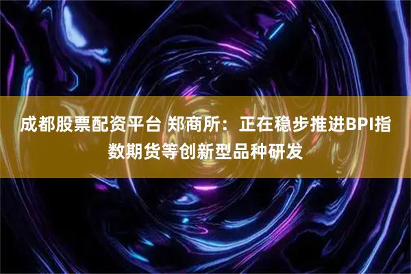 成都股票配资平台 郑商所：正在稳步推进BPI指数期货等创新型品种研发