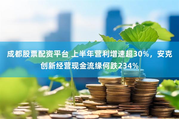 成都股票配资平台 上半年营利增速超30%，安克创新经营现金流缘何跌234%